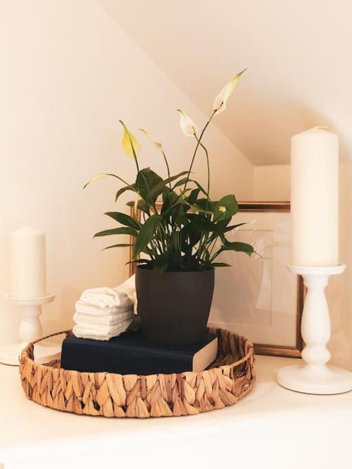 The Sycamore Retreat - Hampstead 런던 외부 사진